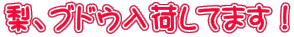 AuhEׂĂ܂I